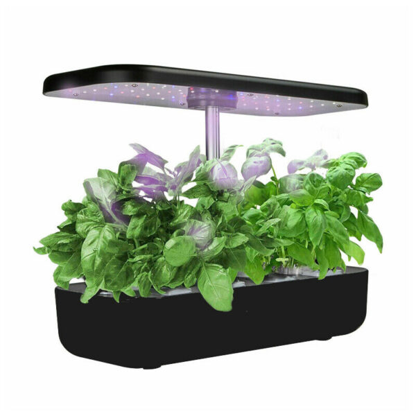 hydroponic system smart garden australia