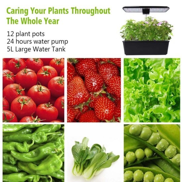 smart_garden_kit_grow_australia3