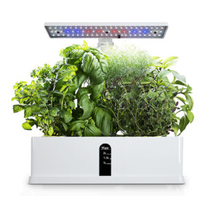 hydroponic_kit_smart_garden